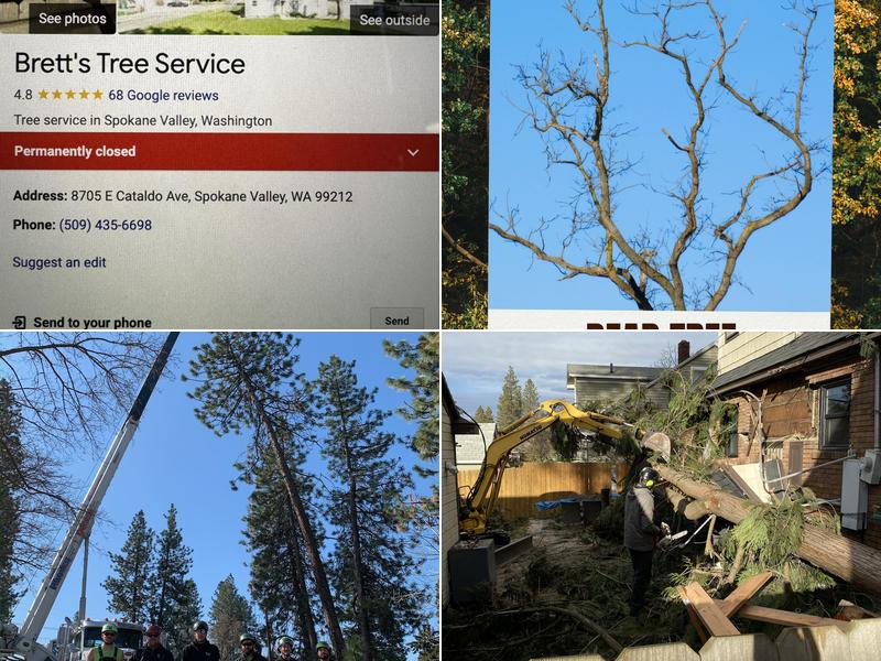 Brett's Tree Service