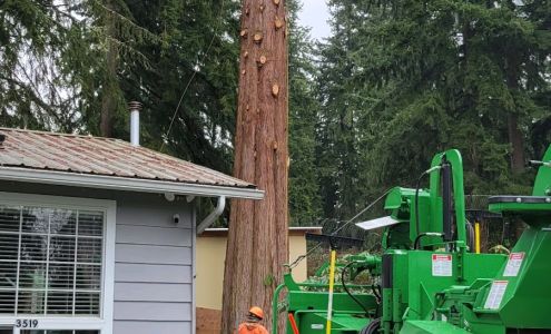 Joes Tree & Timber LLC 30417 NE 190th St, Duvall Washington 98019