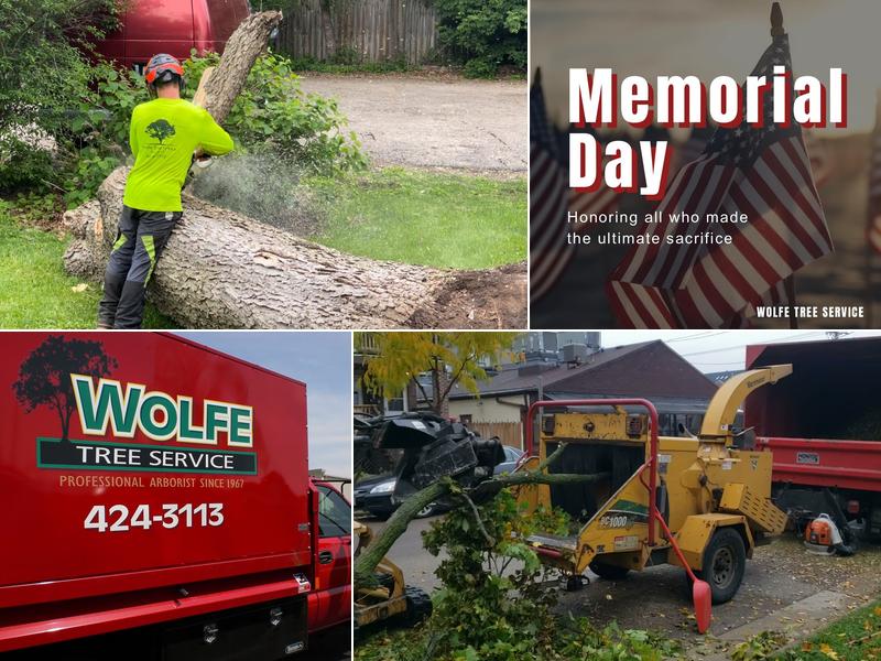 Wolfe Tree Service, Belleville, WI