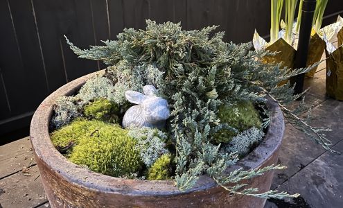 Surroundings Landscaping & Florist