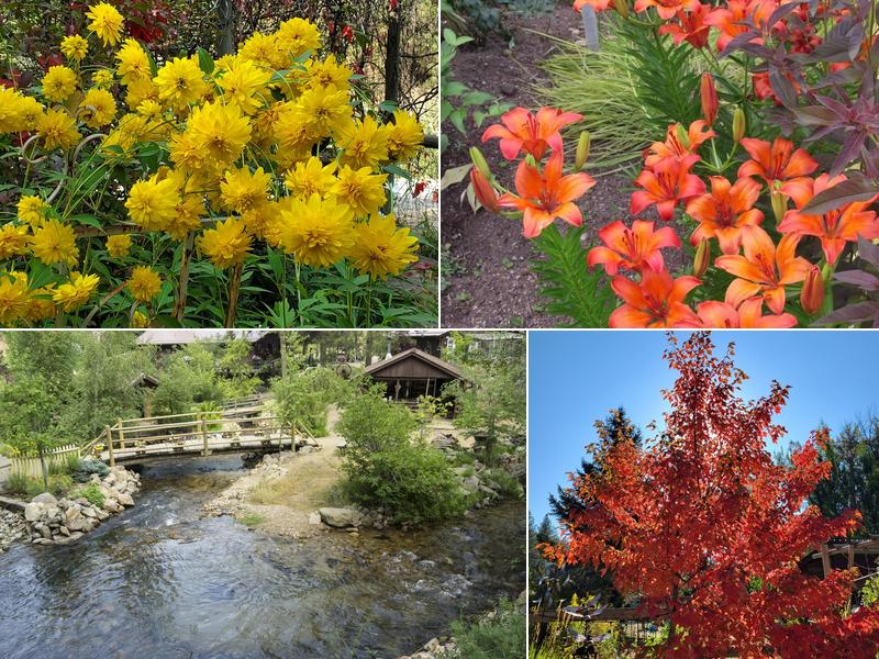 Tizer Botanic Garden & Arboretum