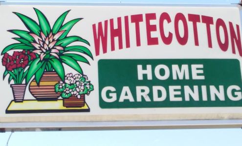 Whitecotton Greenhouse 13052 TX-59 N, Montague Texas 76251