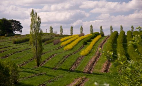 Star Valley Flowers, Inc. Soldiers Grove