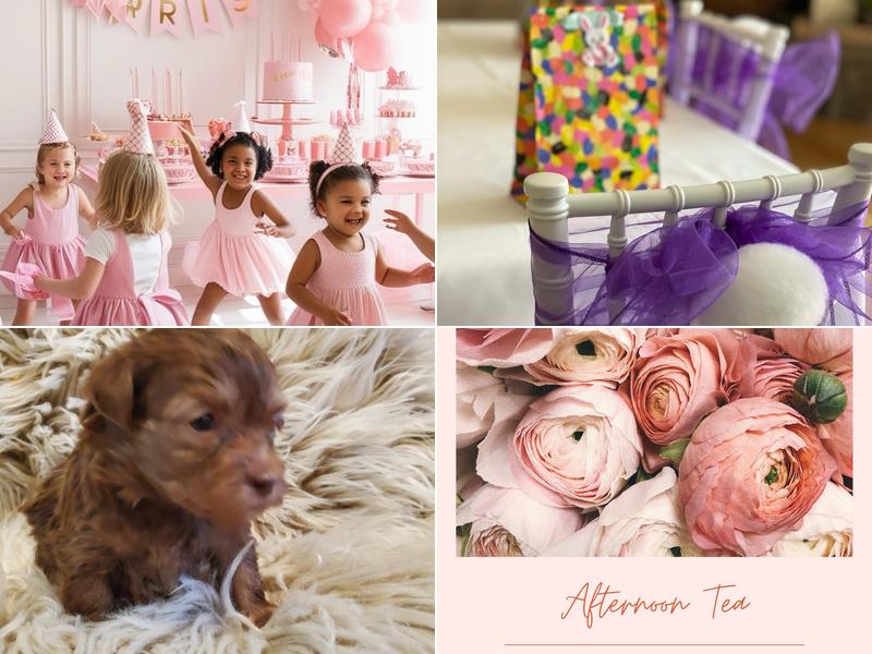 Willow Spa and Tea Parties NJ Llc