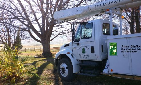 A Cut Above Tree Service 3110 10th St, Baker City Oregon 97814