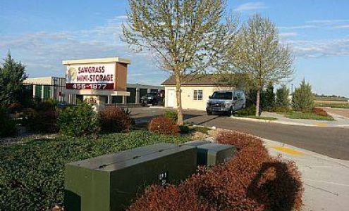 Grizzly Bear Storage