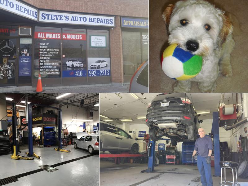 Steve's Auto Repairs