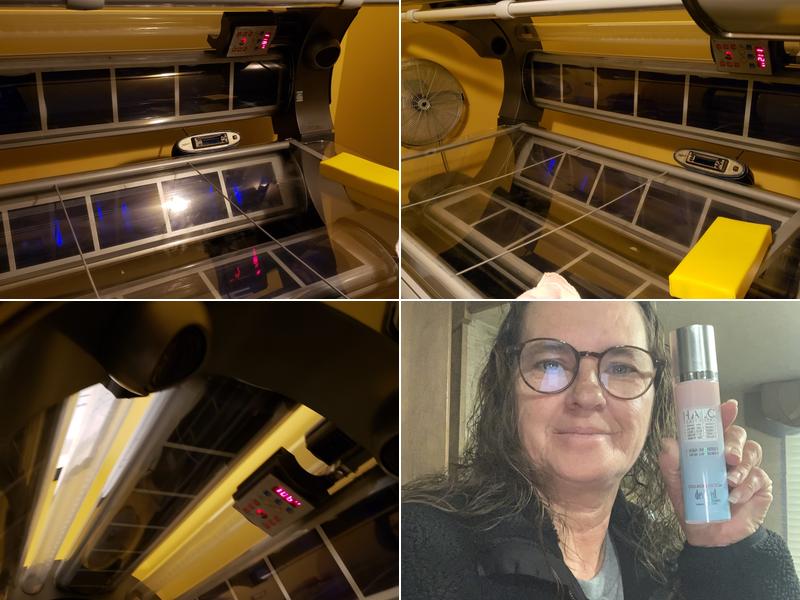 The Wave Tanning Studio