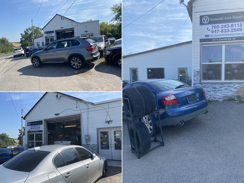 IMMORTAL AUTO REPAIR INC.