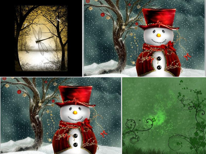 Body Wise Massage & Reiki