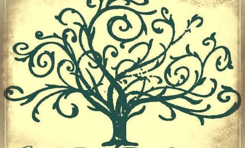 Willow Springs Holistic Therapies