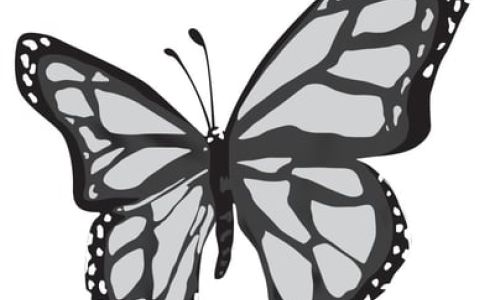 The Aesthetics Group, Linda Recker LLc