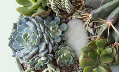 Tall Grass Color Bar 124 W Main St, Ardmore Oklahoma 73401