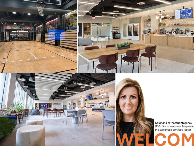 cove Cafe at 2600 Tower Oaks