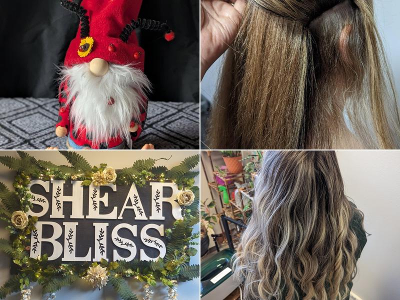 Shear Bliss by Amber