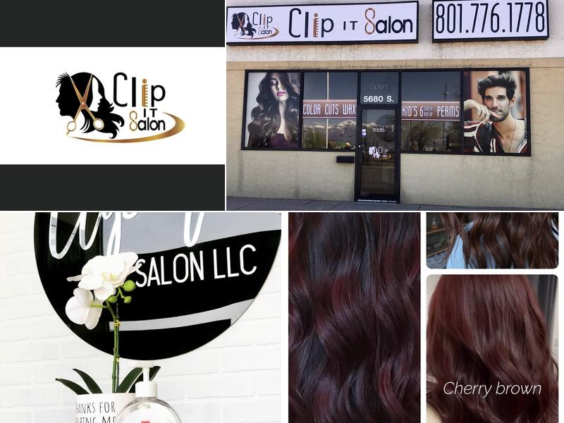 Clip it salon llc