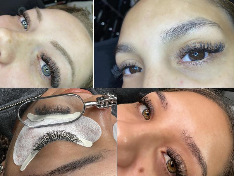 Daisy Lash Studio