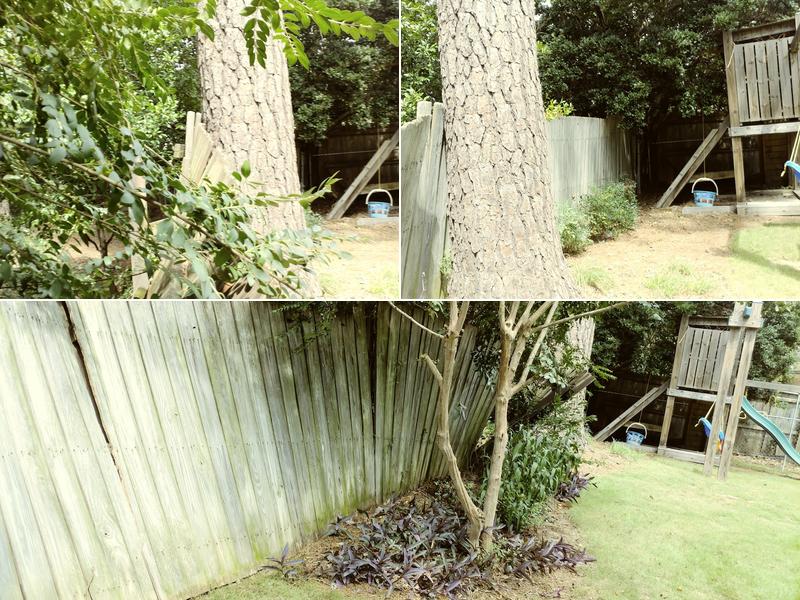 Integrative Therapeutic Massage