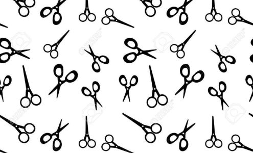 Village Clipper Barber And Styling 17 Clara Barton St, Dansville New York 14437