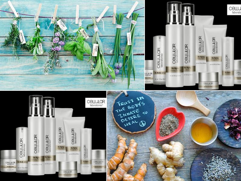 Four Corners Holistics