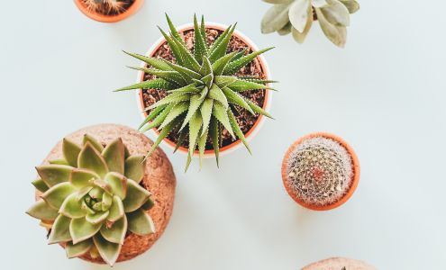 The Room. Beauty Bar