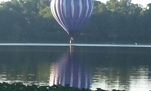 Certified Electrology