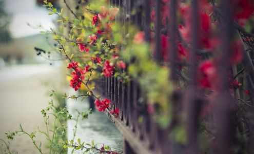 Vicki’s Massage Therapy Adore Salon, 406 Austin St, Levelland Texas 79336