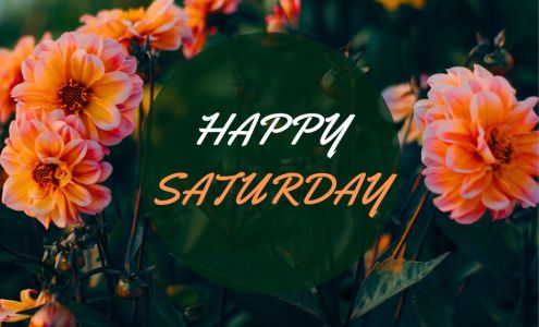 Annandale Family & Sports 140 Elm St W, Annandale Minnesota 55302