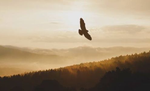 Mindful Massage & Bodywork 205 N College Ave Ste. 015, Bloomington Indiana 47404