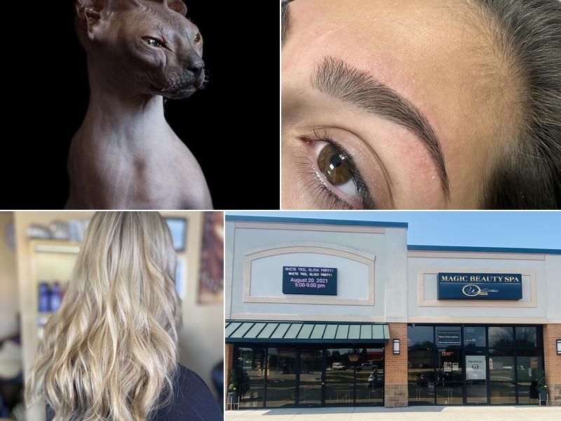 Magic Beauty Wellness Oasis Salon and Spa