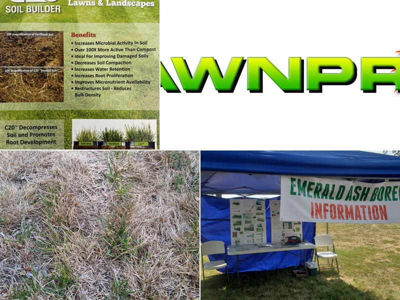 Lawnpro Lawn and Tree Care