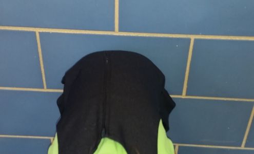 Rainbow Quality Painting Saint Bernard