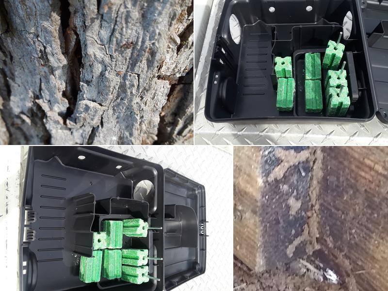 Payne Science Pest Management