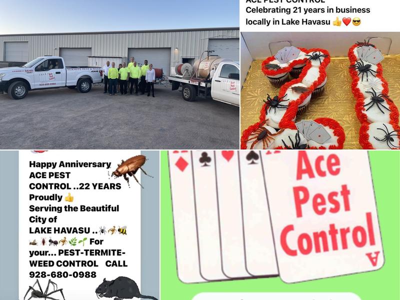 Ace Pest Control AZ