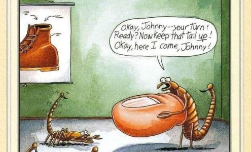 Rebellion Pest Defense 841 W Fairmont Dr, Tempe Arizona 85282