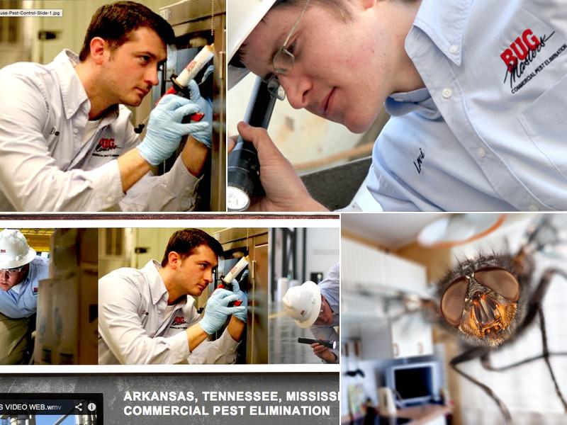 Bug Masters Exterminating Co.