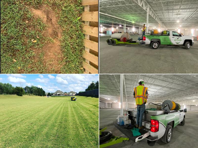 Action Pest and Turf