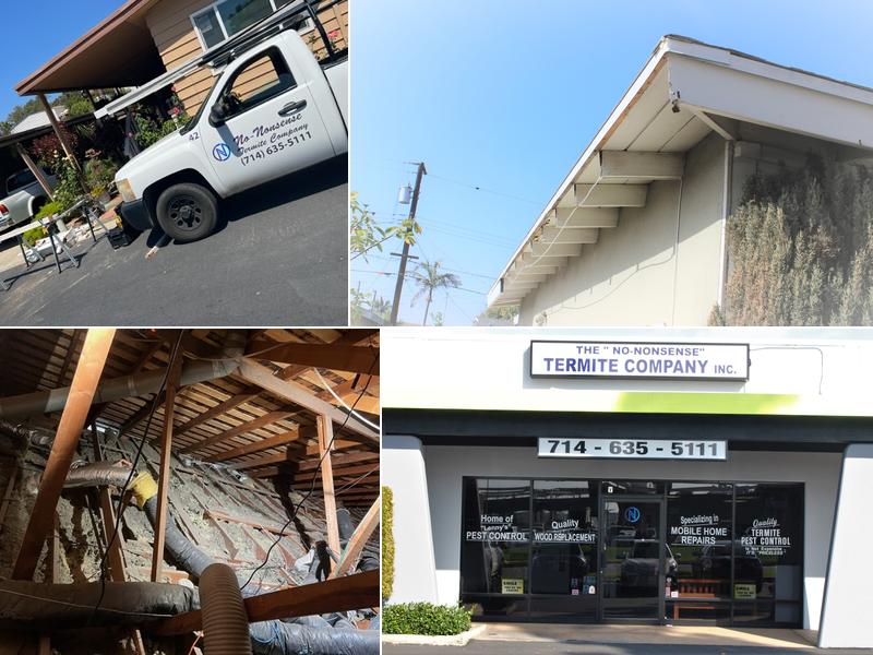 The No-Nonsense Termite Company