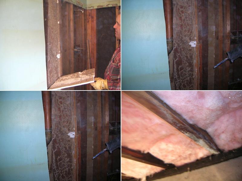 Davco Termite Inspection Services