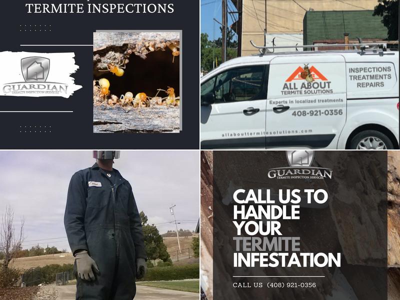 All About Termite Solutions