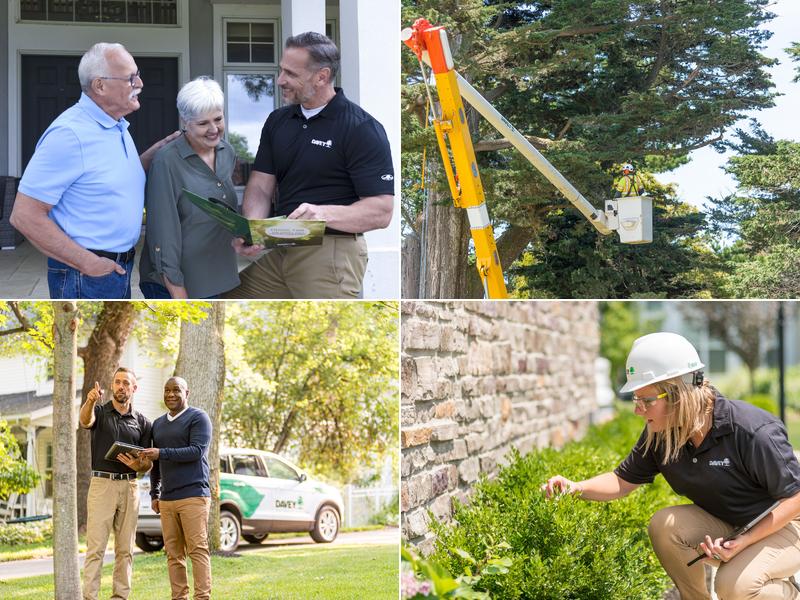 The Davey Tree Expert Company