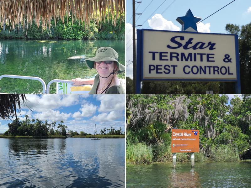 Star Termite & Pest Control