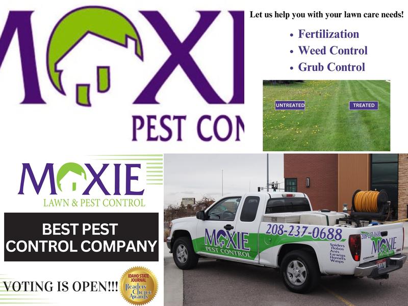 Moxie Lawn & Pest Control