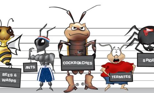 B & B Pest Control 104 N Yates St, Tallula Illinois 62688