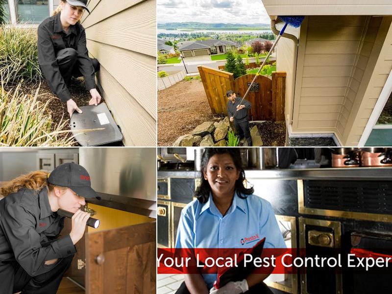 Presto-X Pest Control