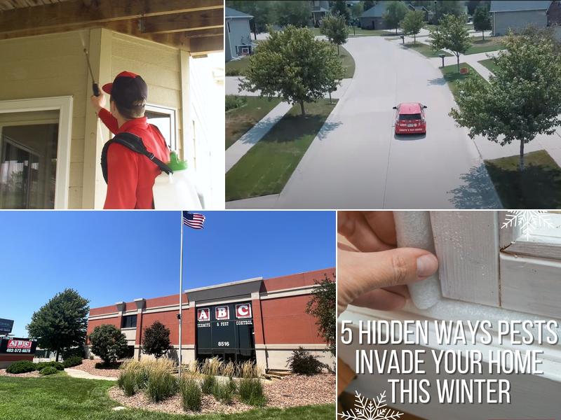 ABC Termite & Pest Control