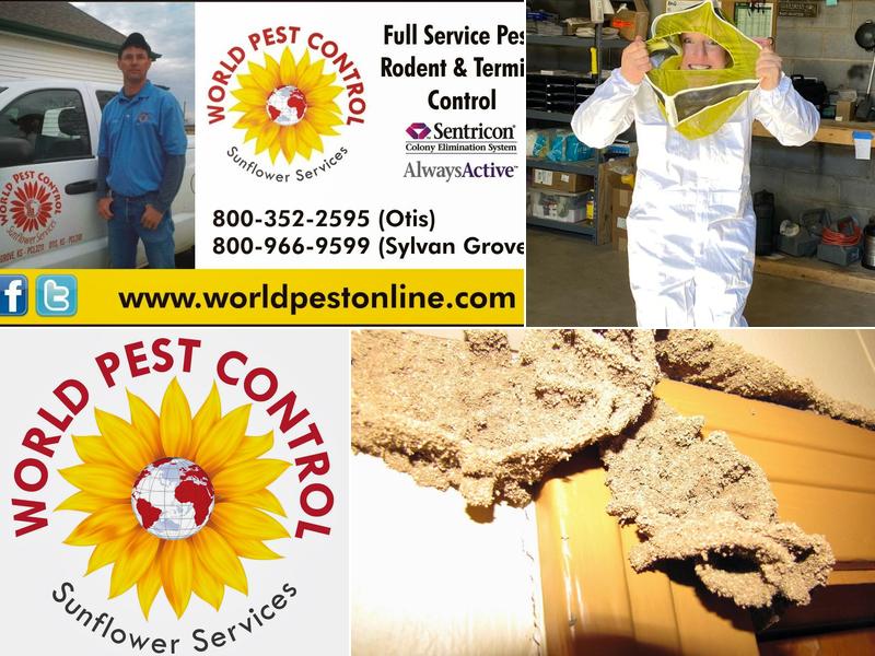 World Pest Control