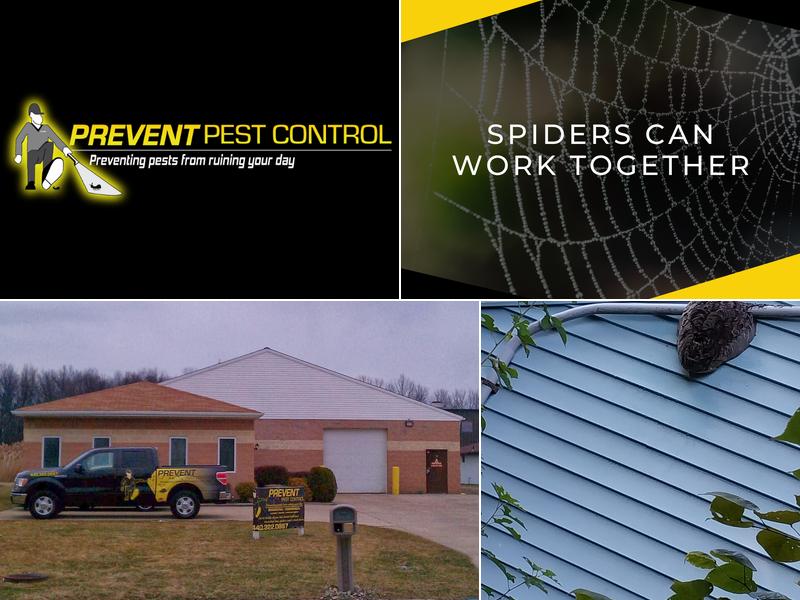 Prevent Pest Control