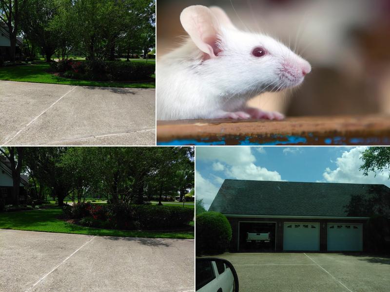 Twin City Exterminating Co