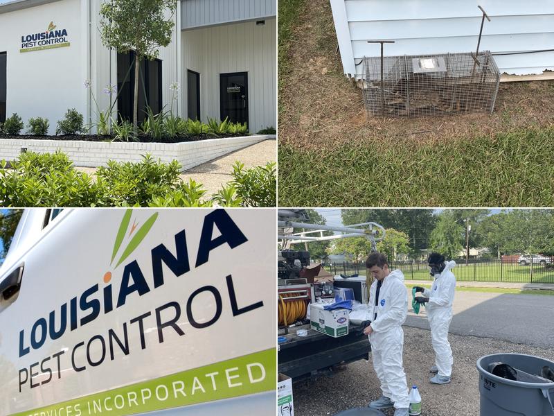 Louisiana Pest Control Services